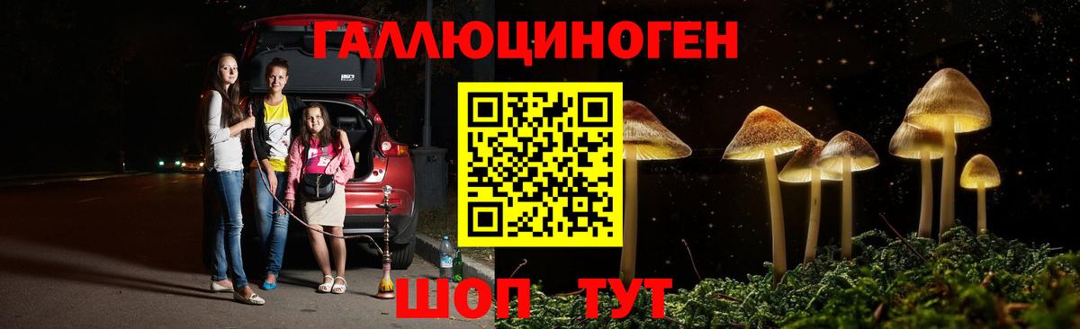 Мирный  Псилоцибиновые грибы мухоморы  Вход с VPN 